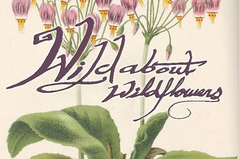 Wild About Wildflowers: An Exploration of Our Native Plants