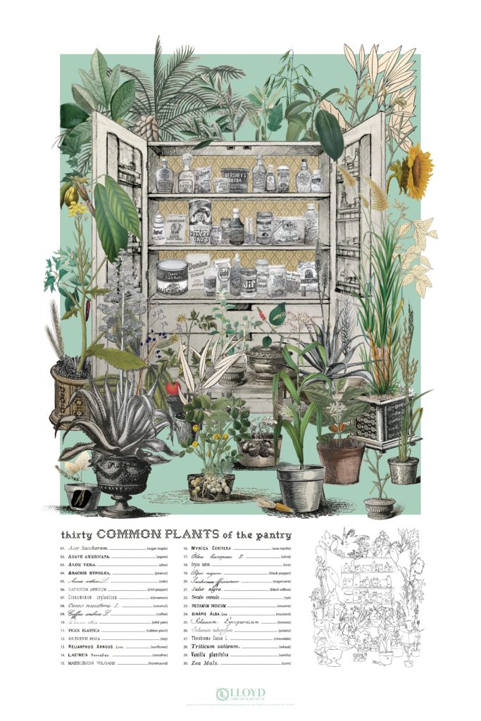 Posters For Plant Blindness Lloyd Library