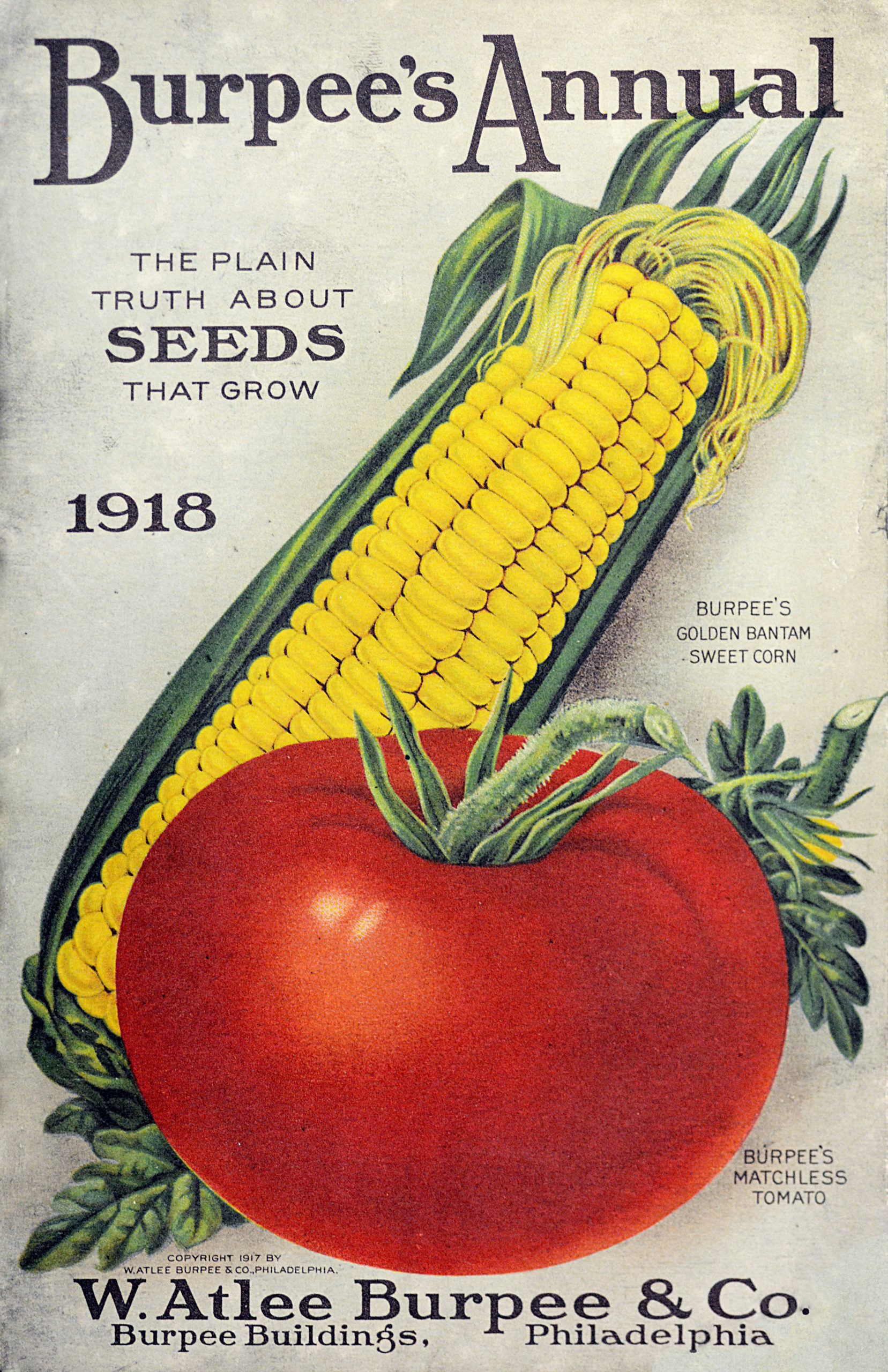 Burpee's catalog 1918