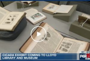 Image of open rare books displaying images of cicadas