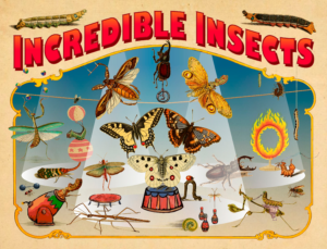 Depiction of avariety of insects performing a circus