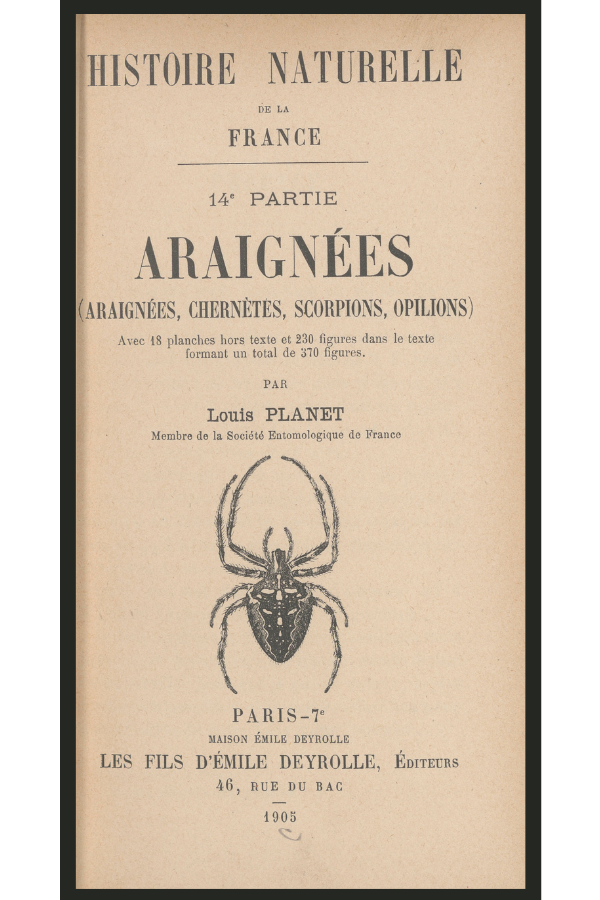 Araignées: araignées, chernètes, scorpions, opilions title page