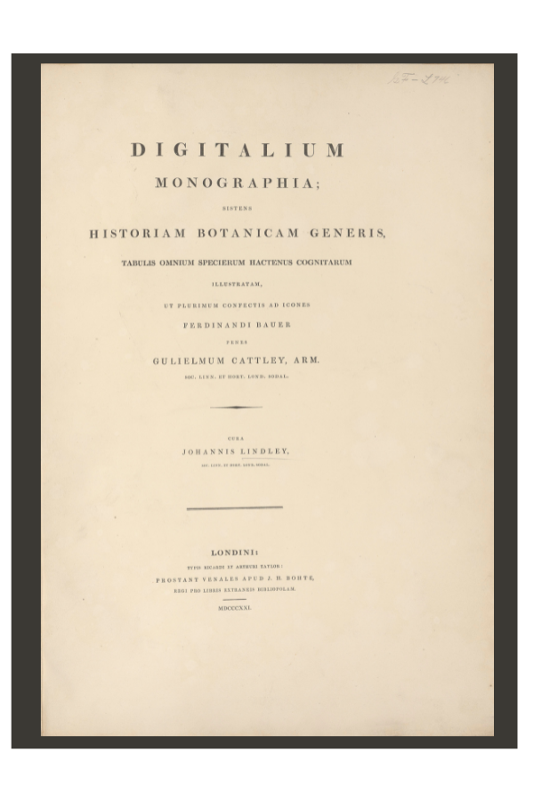 Digitalium Monographia title page