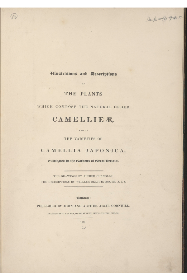 Illustrations and descriptions of the plants which compose the natural order Camellieae title page