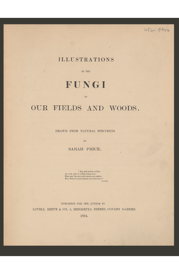 Illustrations of the Fungi of Our Fields and Woods title page