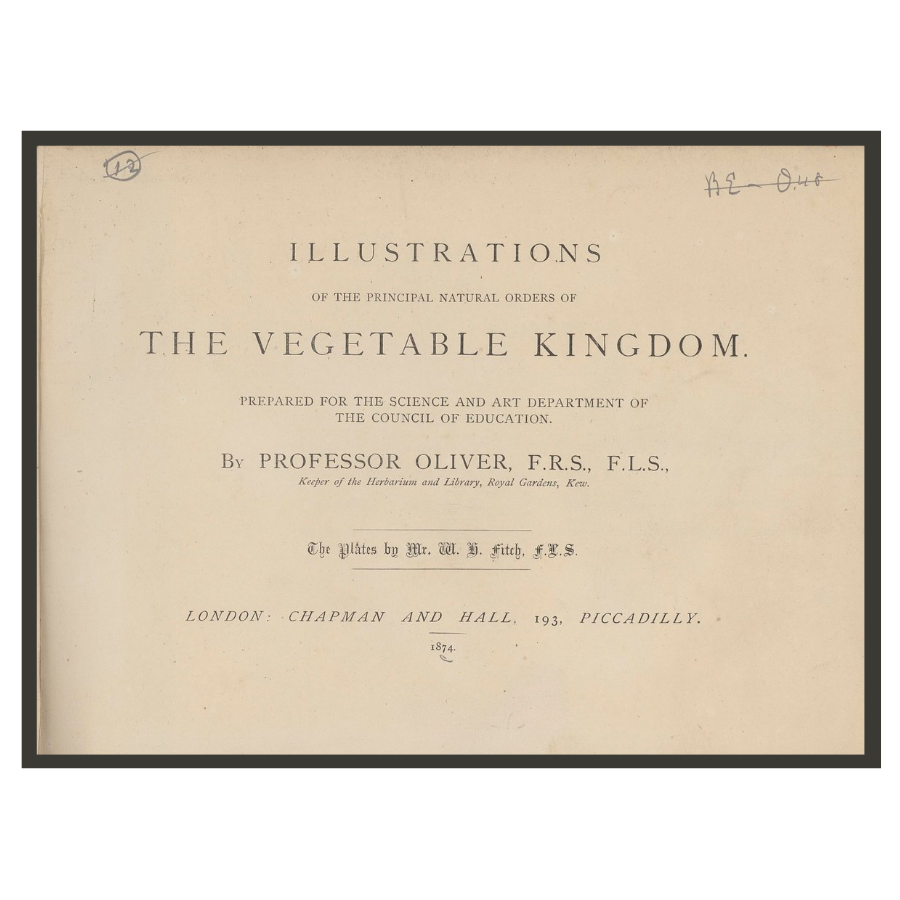 Illustrations of the Principal Natural Orders of The Vegetable Kingdom title page