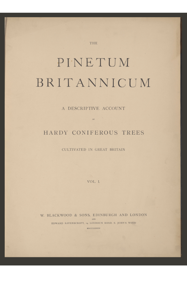 Pinetum Britannicum title page