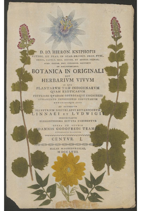 Botanica in Originali title page
