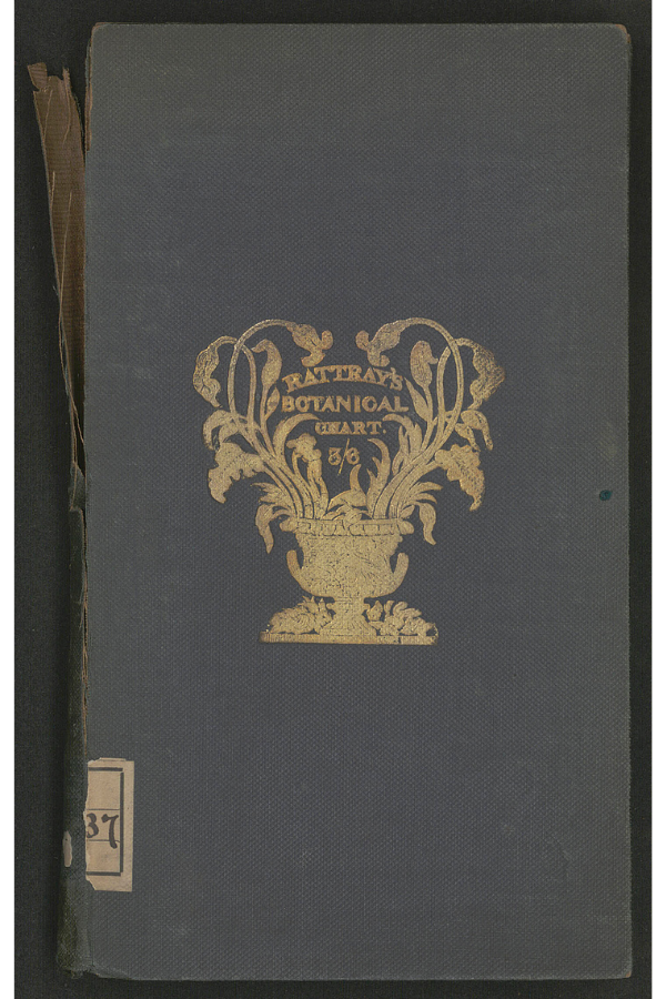 Cover of A Botanical Chart