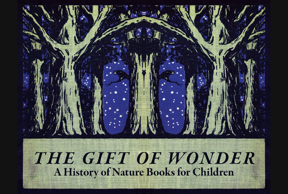 The Gift of Wonder poster Dark Trees on a deep blue snowy sky