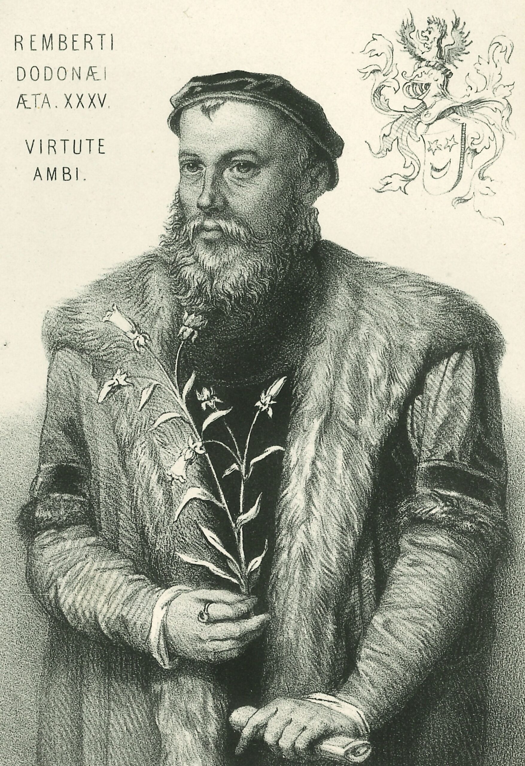 Portrait of Rembert Dodoens