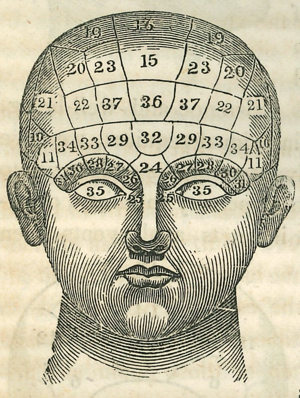 Phrenology diagram
